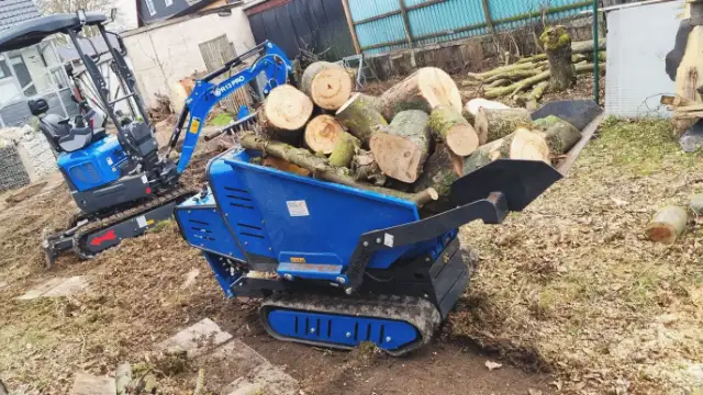 Raupendumper mit Stammholz, Aufnahme von Christian Obst